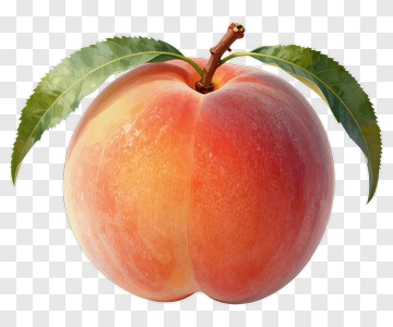Realistic Peach With Leaves PNG