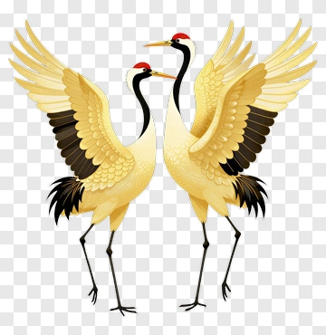 Pair Of Elegant Cranes With Outstretched Wings PNG