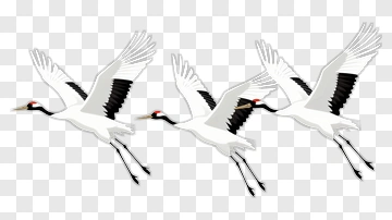 Cranes Flying Together PNG