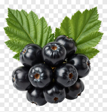 Black Currants With Green Leaves PNG