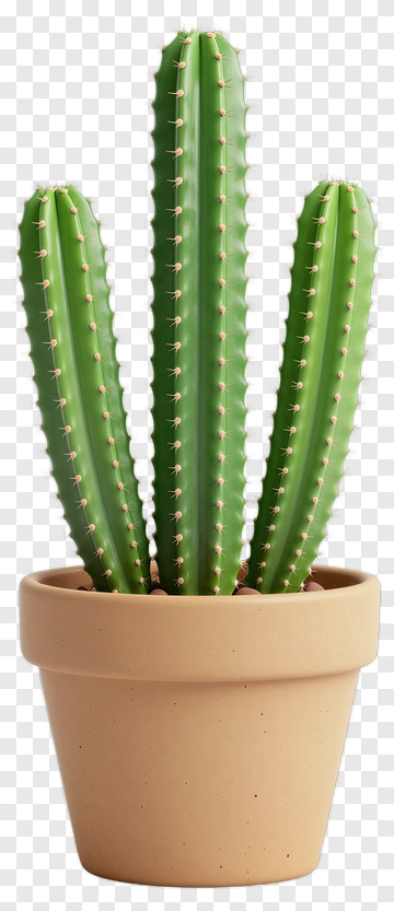 Cactus In A Pot PNG