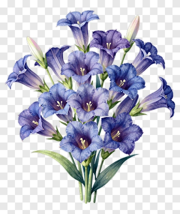 Watercolor Bluebell Flower Bouquet PNG