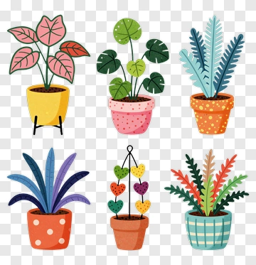 Colorful Potted Plants Collection PNG