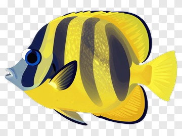 Cartoon Butterfly Fish PNG