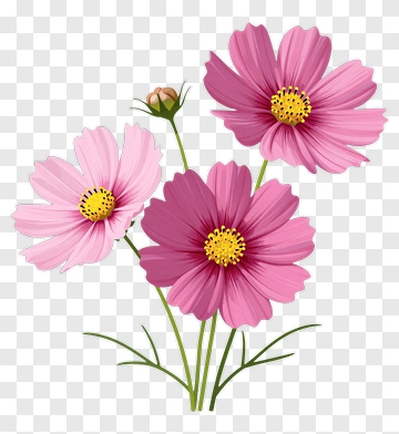 Pink Flower Bouquet PNG