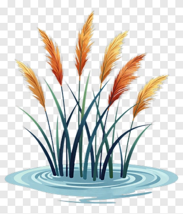 Pampas Grass In Water PNG