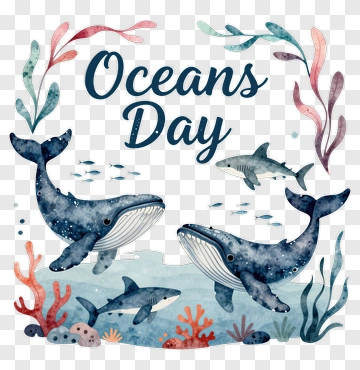 Oceans Day Illustration With Whales And Marine Life PNG