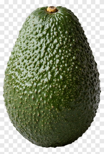 Fresh Avocado PNG