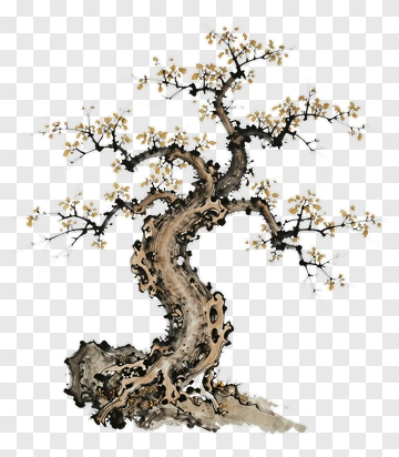 Artistic Bonsai Tree With Blossoms PNG