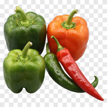 Colorful Bell Peppers And Chili Peppers PNG
