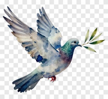 Watercolor Dove Holding An Olive Branch PNG