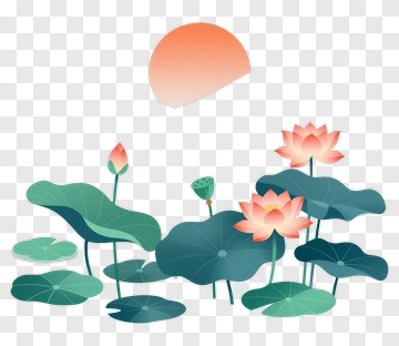 Lotus Flowers And Leaves With Sunset PNG