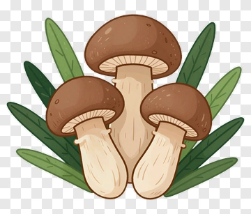 Mushrooms Surrounded By Green Leaves PNG