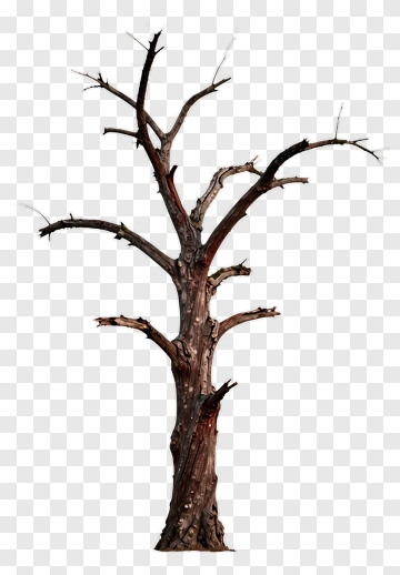 Bare Tree PNG