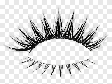 Stylized Eyelash Design PNG