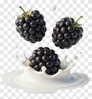Fresh Blackberries Splashing In Milk PNG