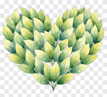Heart-Shaped Green Leaves PNG