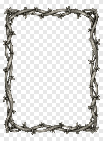 Decorative Vine Frame PNG