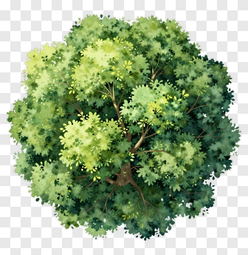 Colorful Tree PNG