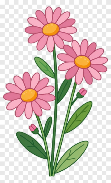 Colorful Pink Flower Bouquet PNG