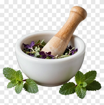 Mortar And Pestle With Fresh Herbs PNG
