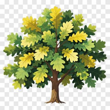 Colorful Oak Tree PNG