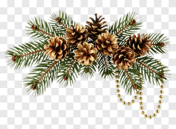 Pine Cone Arrangement With Greenery And Beads PNG
