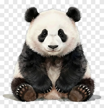 Cute Panda Sitting PNG