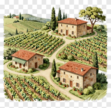 Vineyard Landscape With Rustic Houses PNG