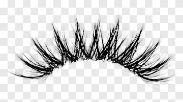 Black Eyelash Strip PNG