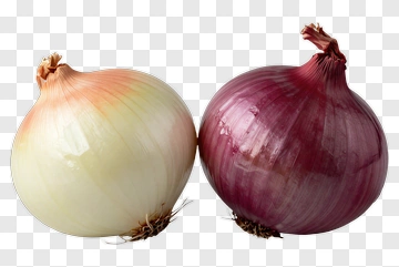 Onions: White And Red PNG