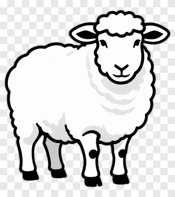 Cartoon Sheep PNG