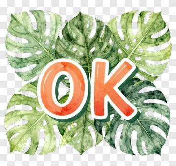 Ok Text Surrounded By Tropical Leaves PNG