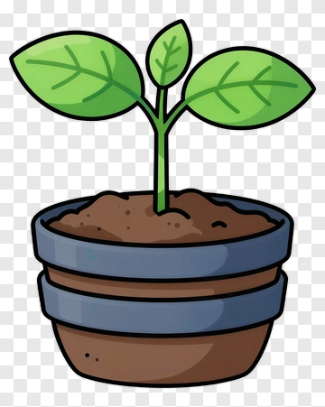 Cartoon Plant In A Flower Pot PNG