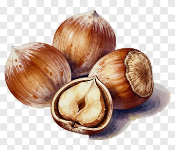 Hazelnuts And Shelled Nut Composition PNG