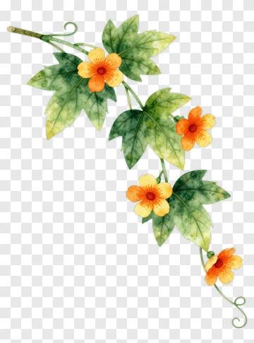 Watercolor Vine With Orange Flowers PNG