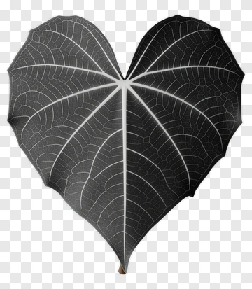 Heart-Shaped Black Leaf PNG