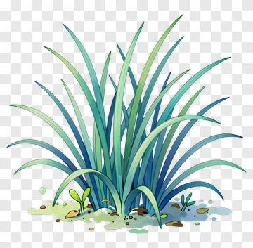 Colorful Grass Patch PNG