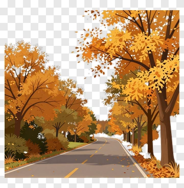Autumn Road Surrounded By Colorful Trees PNG