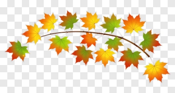 Colorful Maple Leaves PNG