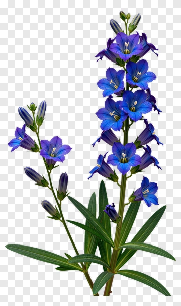 Blue Flower With Green Leaves PNG