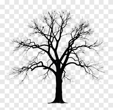 Silhouette Tree PNG
