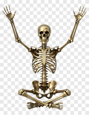 Cartoon Skeleton Raising Arms PNG