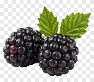 Fresh Blackberries With Green Leaves PNG