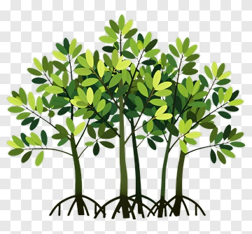 Group Of Green Trees With Roots PNG