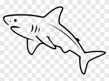 Cartoon Shark PNG