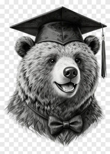 Graduation Bear Wearing A Cap And Bow Tie PNG