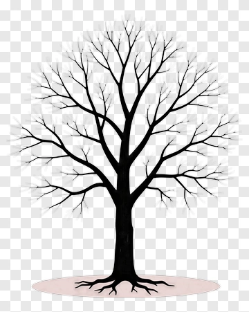 Black Tree With Bare Branches PNG