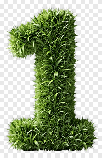 Green Grass Number One PNG