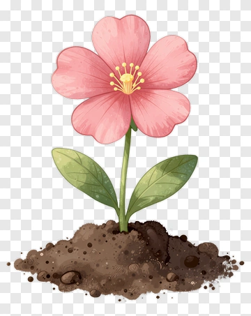 Pink Flower Growing In Soil PNG